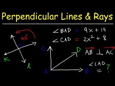 Perpendicular Lines, Slope, Rays, and Segments | Geometry thumbnail